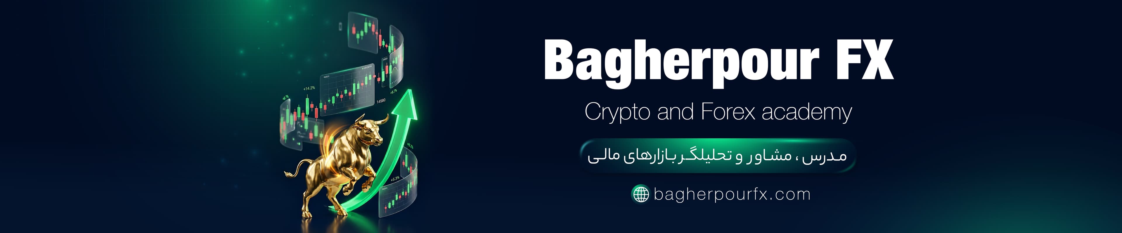 آموزش فارکس و ارز دیجیتال |دکتر باقر پور FX